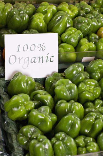 Government Grants For Organic Farming