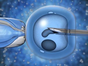 Grants For In Vitro Fertilization