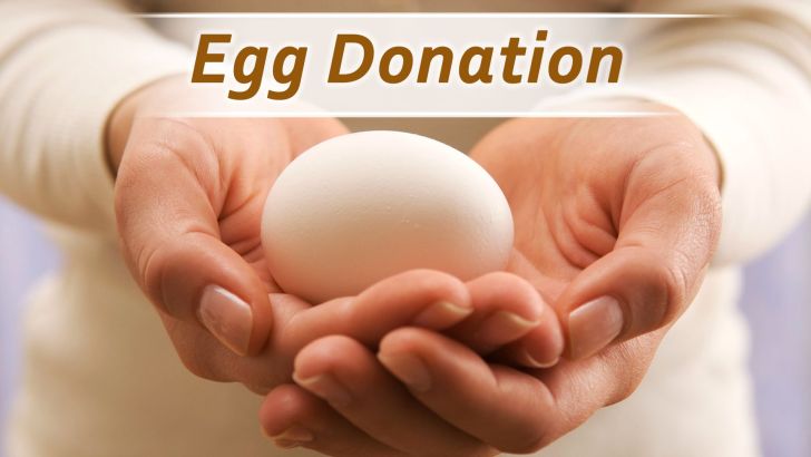 How Much Do You Get For Donating Eggs And Best Places To Try