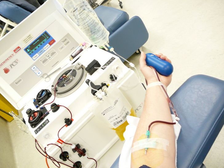 How Much Money Do You Get For Donating Plasma