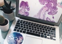 Know About the Best Grants for Laptops for College Students Know About the Best Grants for Laptops for College Students