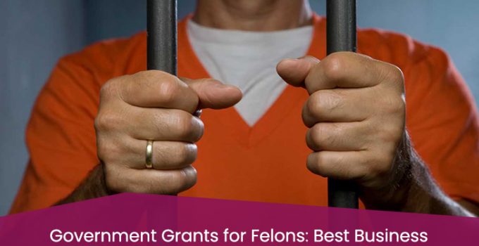 Government Grants for Felons: Best Business Assistance Sources Government Grants for Felons: Best Business Assistance Sources