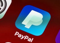 How to Set Up a PayPal Donation link? How to Set Up a PayPal Donation link?