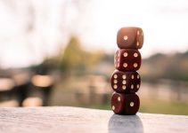 When the Federal Government Makes a Block Grant When the Federal Government Makes a Block Grant