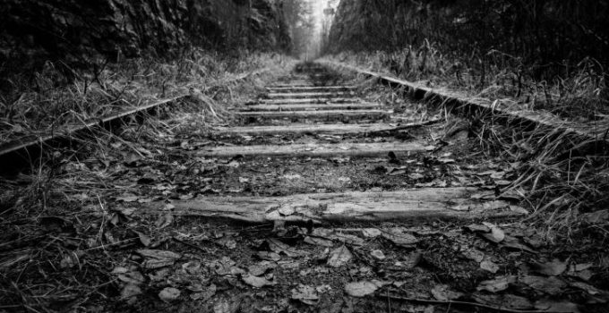 Why Did the Government Give Land Grants to Railroad Companies
