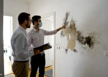 Government Grants for Homeowners with Mold: The 2026 Eradication Guide Government Grants for Homeowners with Mold: The 2026 Eradication Guide