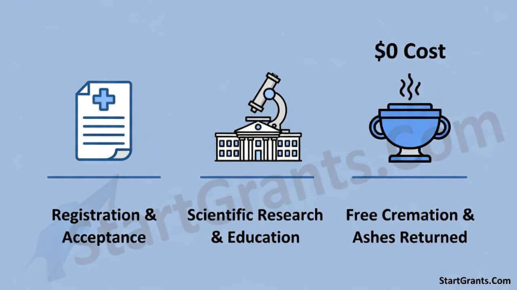 An infographic explaining the whole body donation process to medical science, highlighting it as a zero-cost alternative for funeral expenses.