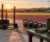 Army ROTC Scholarship Application: The 2026 Tactical Guide