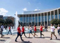How to Get University of Houston Scholarships