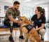 Veteran & Military Support Donations: The 2026 Guide to Honoring Our Heroes