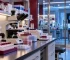 Autism Research Grants: 2026 Institutional Funding Guide