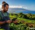 Agriculture Grants Hawaii: The 2026 Guide to Island Farm Subsidies