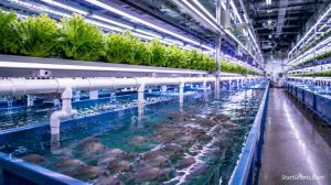 A high-tech indoor aquaponics farm utilizing fish tanks and LED lighting funded by government grants.