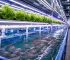 Federal Grant Money for Aquaponics: The 2026 Funding Guide