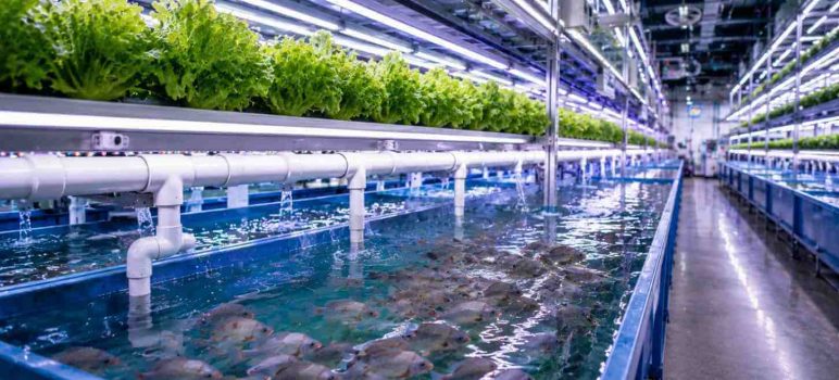 Federal Grant Money for Aquaponics: The 2026 Funding Guide