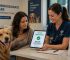 Financial Assistance for Veterinary Care: The 2026 Funding Guide