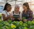 How to Get Government Farm Grants for Women: The 2026 Master Guide
