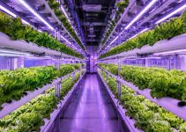 How to Find Grants for Hydroponic Farming: The 2026 Guide