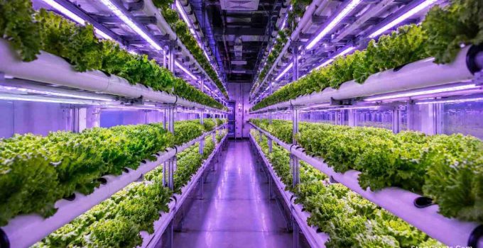 How to Find Grants for Hydroponic Farming: The 2026 Guide