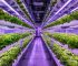 How to Find Grants for Hydroponic Farming: The 2026 Guide