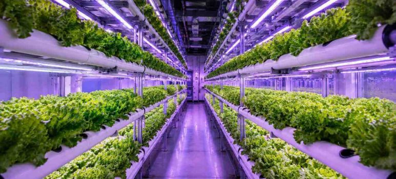 How to Find Grants for Hydroponic Farming: The 2026 Guide