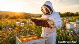 A professional beekeeper inspecting an apiary funded by government grants in a wildflower field.