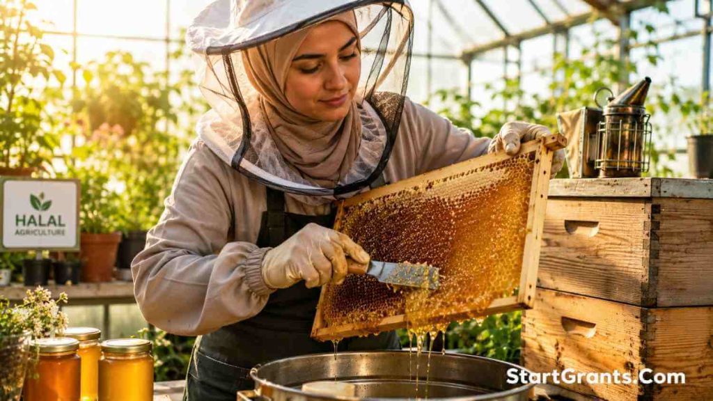 A Muslim female beekeeper harvesting Halal honey from a federally funded apiary.