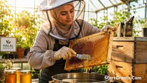 A Muslim female beekeeper harvesting Halal honey from a federally funded apiary.
