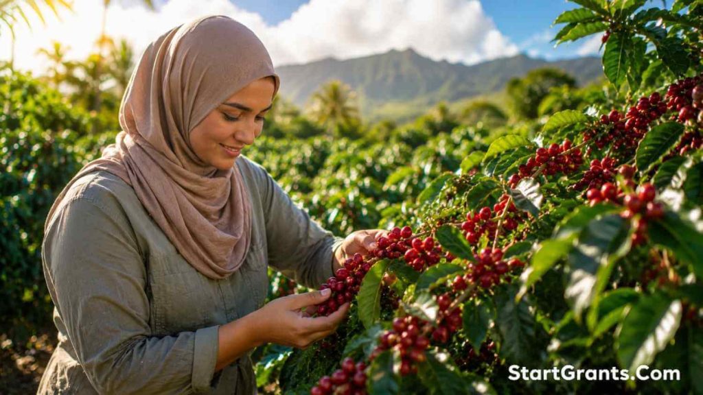 A Muslim farmer harvesting coffee in Hawaii, preparing to pay Zakat al-Zuru on the exotic crop.