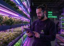 How to Get Urban Farming Grants: The 2026 Master Guide
