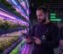 How to Get Urban Farming Grants: The 2026 Master Guide