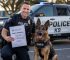Police K9 Grants: The 2026 Institutional Funding Guide